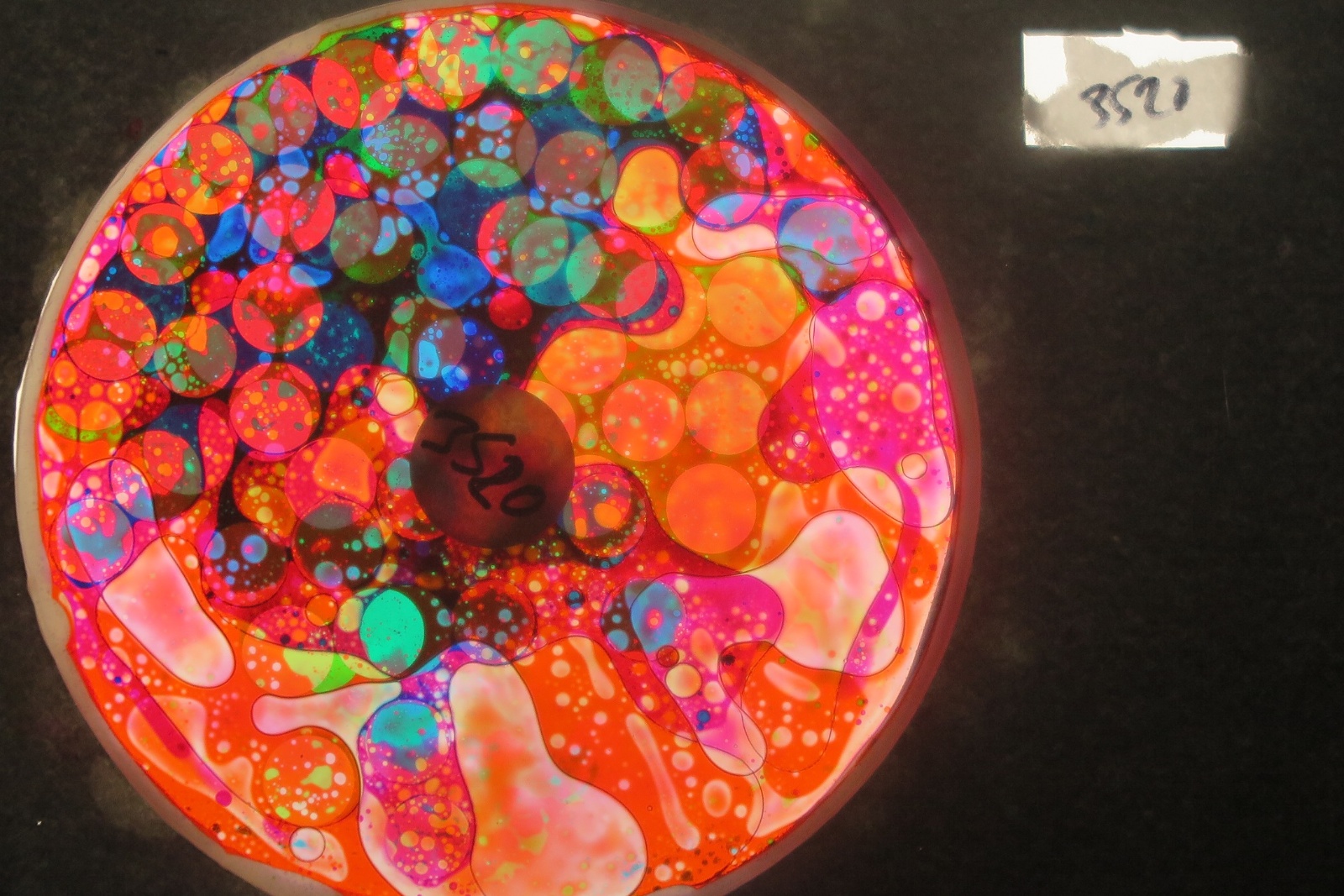 BV3520 bubble vision oil wheel